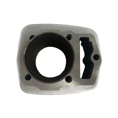 Individuelle Prozess Metallgussteile Motorrad-Krankkasten Verschiedene Oberflächenbehandlung