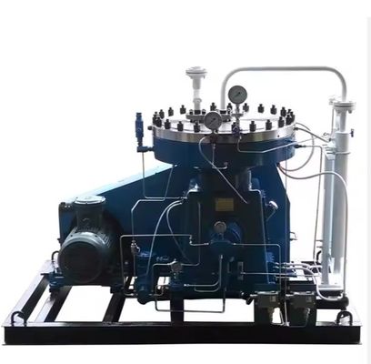 Membranverdichter Gas Luft Wasserstoff vom vertrauenswürdigen China-Lieferanten verursacht keine Umweltverschmutzung Medium OEM ODM Service